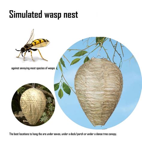 plastic bag fake hornet's nest carpenter bees|carpenter bee deterrent.